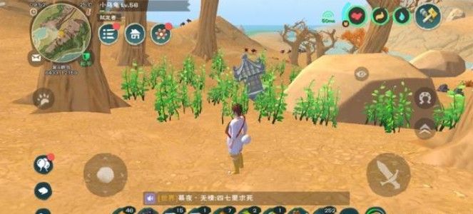 创造与魔法爆炒鱿鱼怎么做？创造与魔法爆炒鱿鱼做法