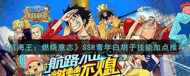 航海王燃烧意志青年白胡子怎么加点?航海王燃烧意志青年白胡子加点推荐
