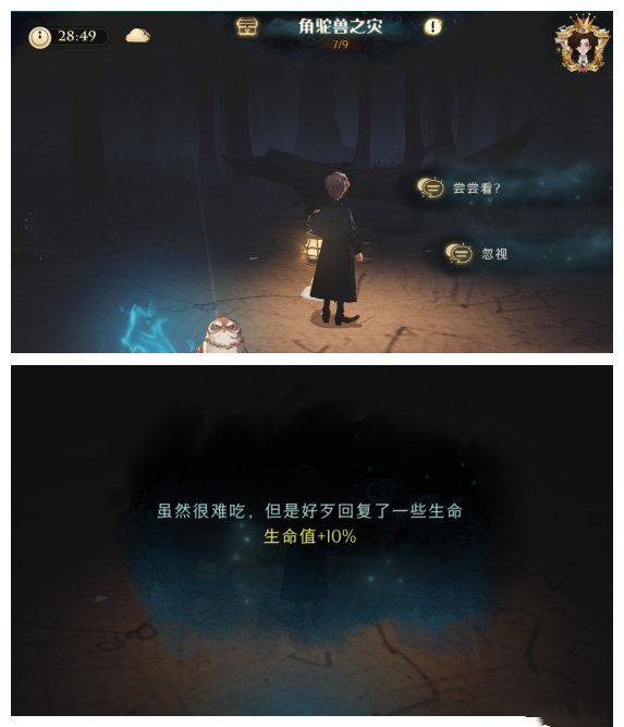 哈利波特：魔法觉醒禁林角鸵兽之灾怎么过？哈利波特：魔法觉醒禁林角鸵兽之灾通关攻略