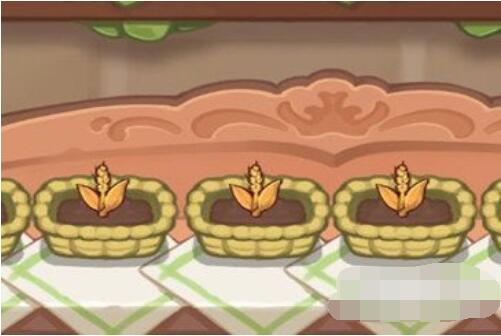 诺弗兰物语怎么培育作物？诺弗兰物语培育作物的方法