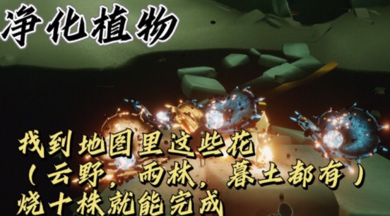 光遇9月9日每日任务怎么做?光遇9月9日每日任务完成攻略截图