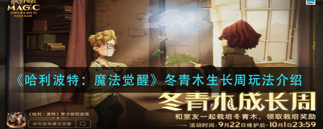 哈利波特：魔法觉醒冬青木生长周怎么玩？哈利波特：魔法觉醒冬青木生长周玩法说明