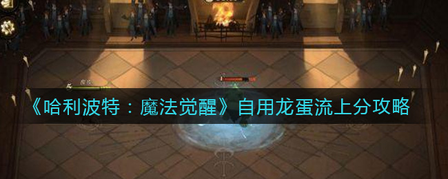 哈利波特：魔法觉醒自用龙蛋流怎么上分？哈利波特：魔法觉醒自用龙蛋流上分技巧