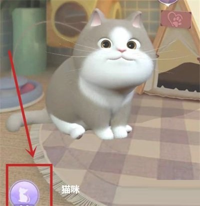 时光公主猫咪怎么升星？时光公主猫咪升星攻略