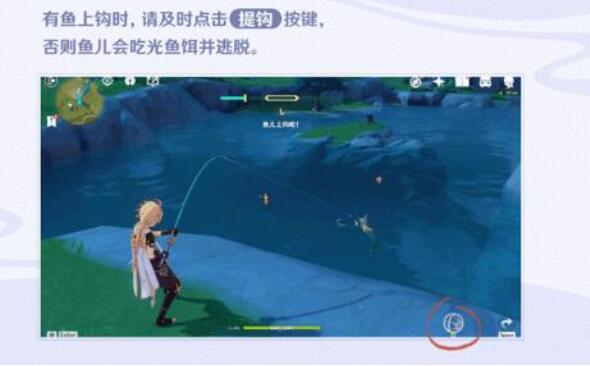 原神家園怎么養魚？原神家園養魚技巧方法截圖