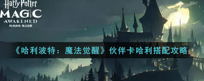 哈利波特：魔法觉醒伙伴卡哈利怎么搭配？哈利波特：魔法觉醒伙伴卡哈利搭配攻略