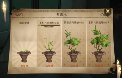 哈利波特：魔法觉醒冬青木生长周怎么玩？哈利波特：魔法觉醒冬青木生长周玩法说明