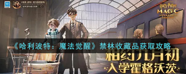 哈利波特：魔法觉醒禁林收藏品怎么获取？哈利波特：魔法觉醒禁林收藏品获取方法