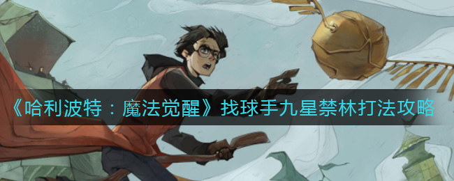 哈利波特:魔法覺醒找球手九星禁林怎么打?哈利波特:魔法覺醒找球手九星禁林打法陣容