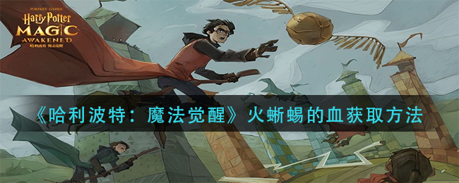 哈利波特：魔法觉醒火蜥蜴的血怎么获取？哈利波特：魔法觉醒火蜥蜴的血获取方法