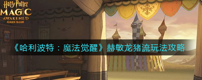 哈利波特：魔法觉醒赫敏龙猪流怎么玩？哈利波特：魔法觉醒赫敏龙猪流玩法介绍