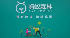 蚂蚁森林怎么发送放话气泡信息?蚂蚁森林发送放话气泡信息教程