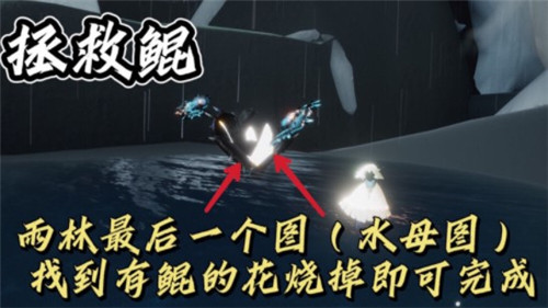 光遇11月29日每日任務怎么做？光遇11月29日每日任務完成攻略截圖