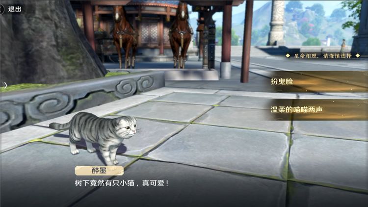 天涯明月刀手游貓之友如何玩?天刀手游貓之友玩法技巧