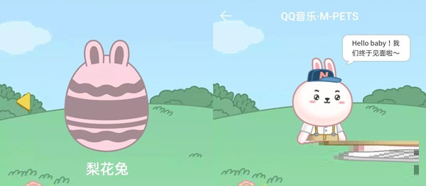 QQ音乐宠物是什么样的?QQ音乐宠物样子对比