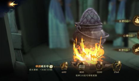 哈利波特：魔法覺(jué)醒龍蛋如何養(yǎng)成？哈利波特：魔法覺(jué)醒龍蛋養(yǎng)成方法