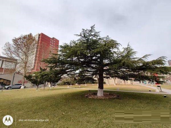 摩托罗拉edgex30拍照性能好吗？摩托罗拉edgex30拍照性能解析