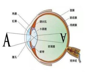 vivoX70t屏幕刷新怎么样？vivoX70t屏幕刷新率介绍