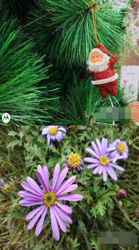 摩托罗拉G71怎么样?摩托罗拉G71真机实测详解