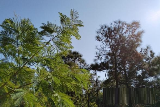 荣耀x30手机值得入手吗？荣耀x30手机测评详解