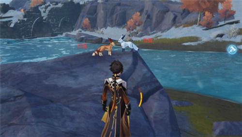 原神雪狐刷新位置在哪里？原神雪狐刷新位置介绍