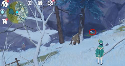 原神雪狐刷新位置在哪里？原神雪狐刷新位置介绍