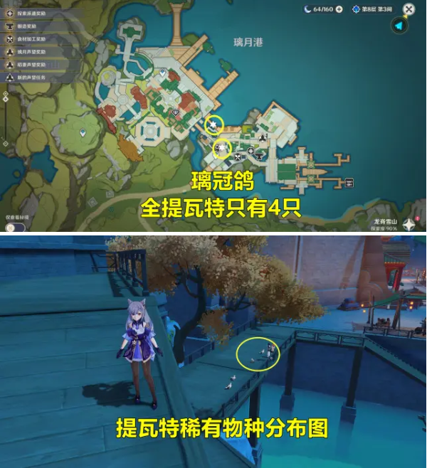 原神璃冠鸽怎么捕捉？原神璃冠鸽捕捉攻略截图