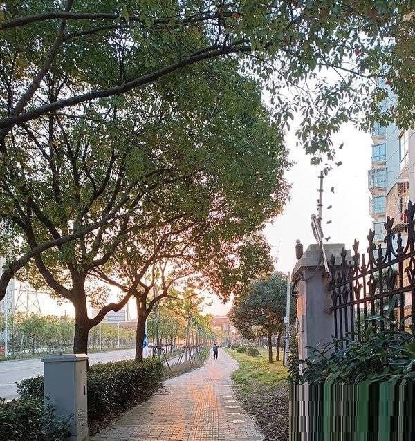 红米note11pro+怎么样?红米note11pro+手机介绍