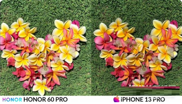 荣耀60Pro和iPhone13Pro拍照哪个好?荣耀60Pro和iPhone13Pro拍照对比介绍截图