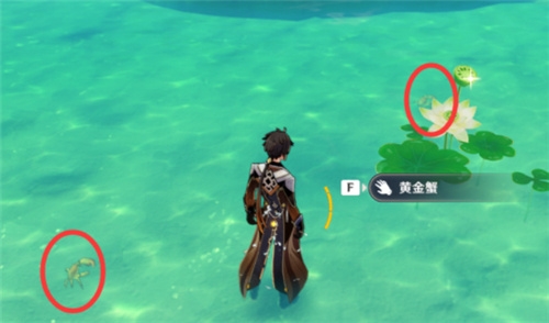 原神黄金蟹刷新地点在哪里？原神黄金蟹刷新位置介绍