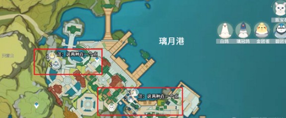 原神團雀刷新位置在哪里?原神團雀刷新位置介紹截圖
