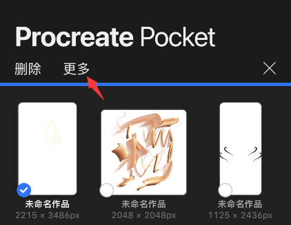 procreate pocket怎么预览作品？procreate pocket预览图片教程截图