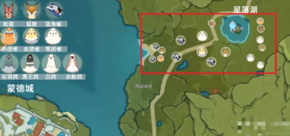 原神團雀刷新位置在哪里?原神團雀刷新位置介紹
