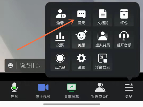 腾讯会议怎么打字发言?腾讯会议文字聊天方法截图