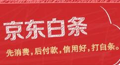 2021京东白条年度账单在哪里看？京东白条2021年度账单查看方法