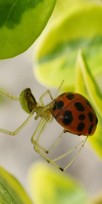 小米MIXFOLD液态相机拍照好不好？小米MIXFOLD液态相机性能介绍