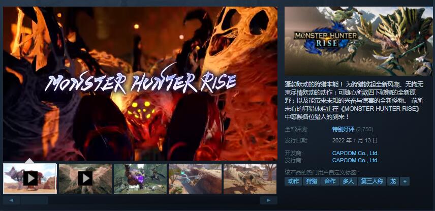 卡普空热门大作《怪物猎人：崛起》登陆Steam 售价396元支持中文
