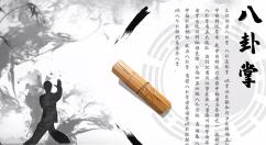 国产武术教学软件《中国传统武术八卦掌 六十四手》登陆Steam 首周仅售9.9元