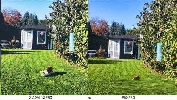 小米12pro拍照对比华为p50pro哪个拍照好?小米12pro拍照对比华为p50pro拍照对比介绍