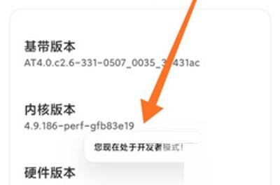 小米12开发者选项怎么打开?小米12开发者选项打开步骤分享