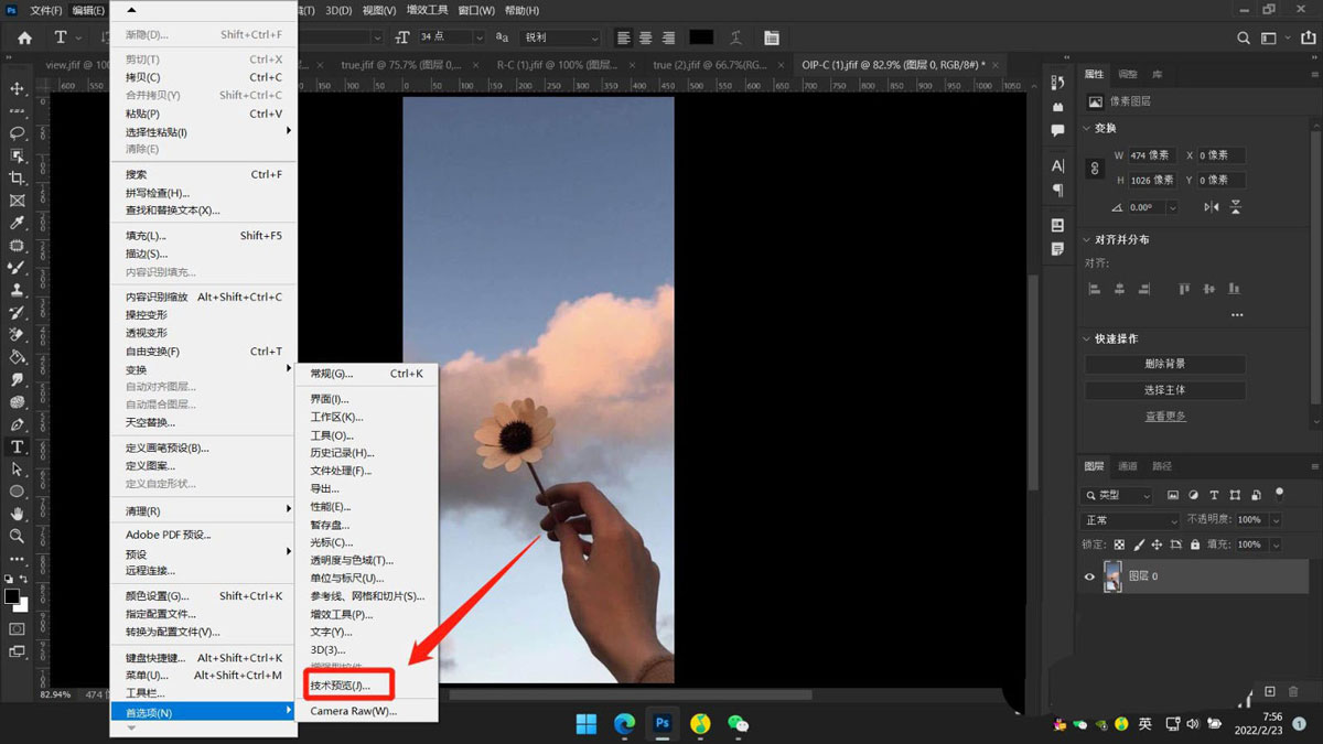 PS2022如何停用本机画布？PS2022停用本机画布方法教程