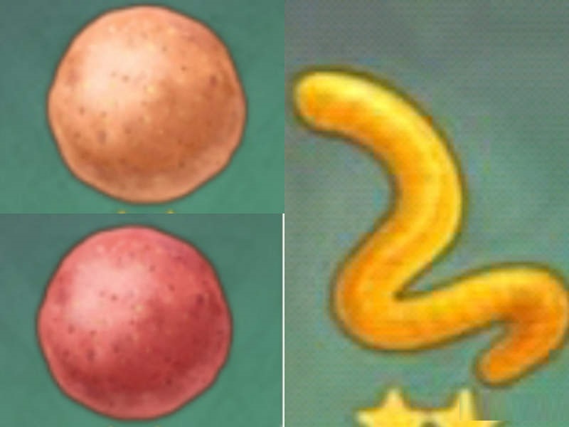 原神蒙德鱼竿风缠如何获取？原神蒙德鱼竿风缠获取方法截图