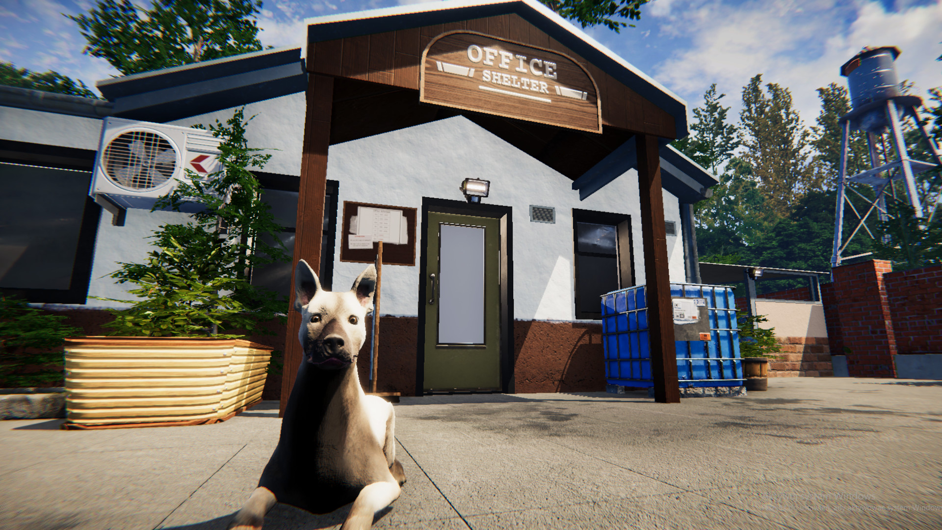 模拟经营游戏《动物收容所》3月23日登陆Steam 支持中文
