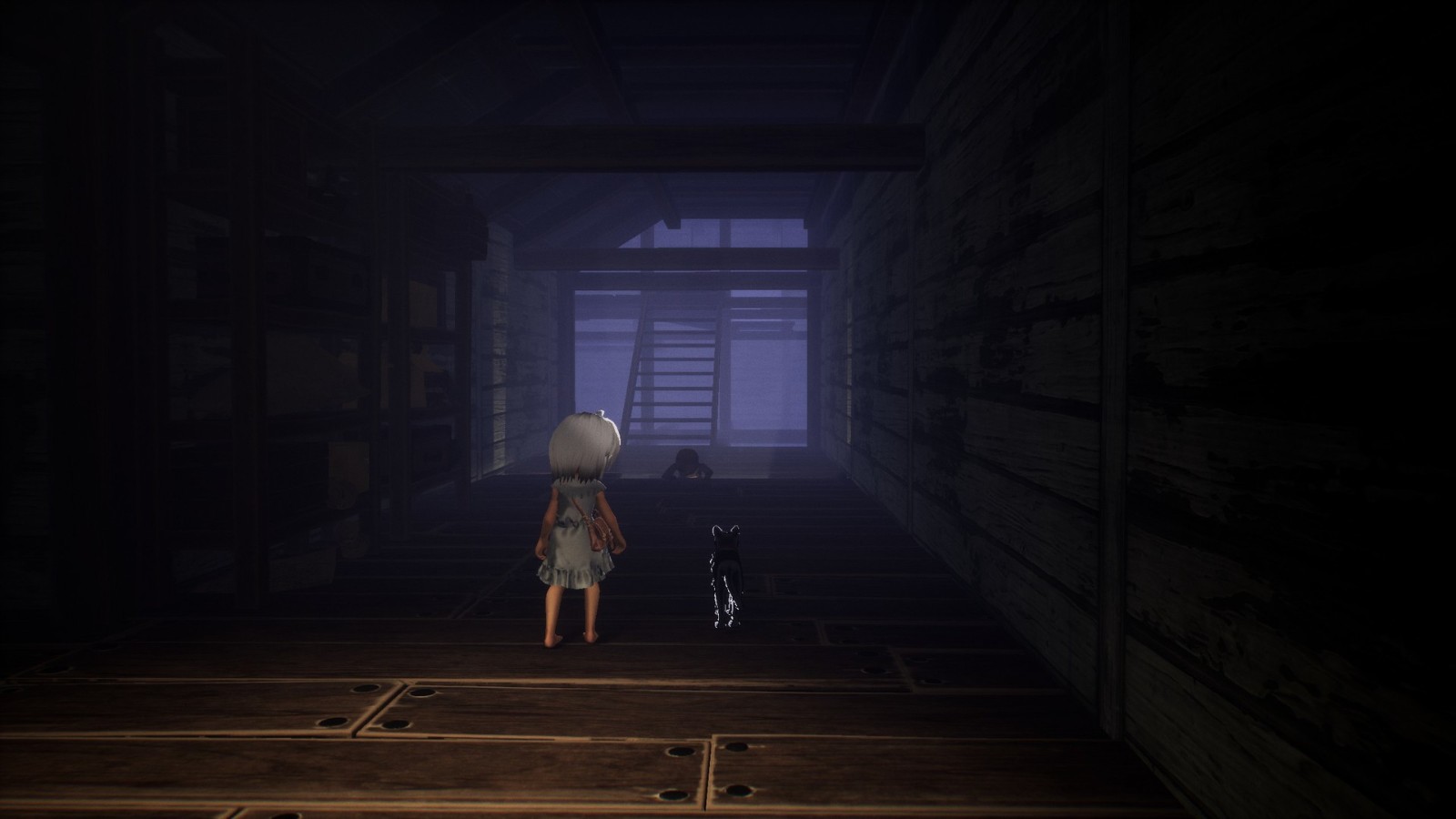 冒险解谜游戏《LIGHT:Black Cat & Amnesia Girl》Steam抢先体验 售价63元