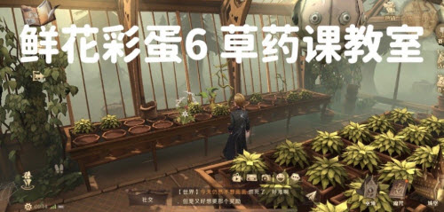 哈利波特魔法觉醒鲜花彩蛋在什么地方？哈利波特魔法觉醒鲜花彩蛋位置介绍