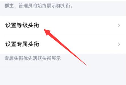qq群头衔怎么设置动态？qq群头衔设置动态具体方法截图