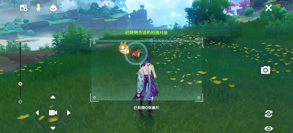 原神稻妻特色动物拍照任务怎么做？原神稻妻特色动物拍照任务完成方法
