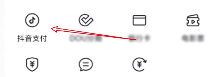 抖音怎么修改支付密码? 抖音修改支付密码的方法截图