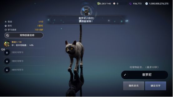 黑色沙漠手游黑色瘦猫任务怎么做?黑色沙漠手游黑色瘦猫任务完成方法截图