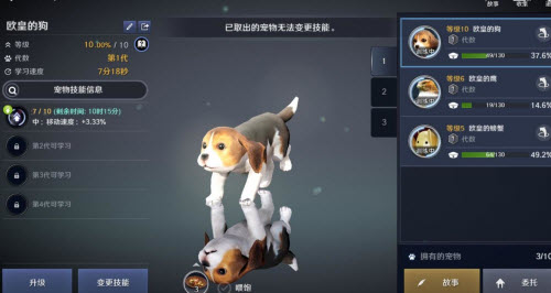 黑色沙漠手游调皮狗怎么获取?黑色沙漠手游调皮狗获取方法